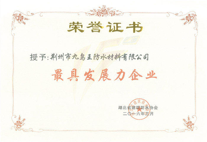 最具發(fā)展力企業(yè)